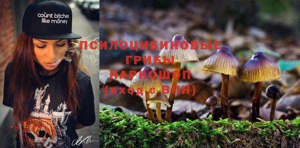 твердый Алексин