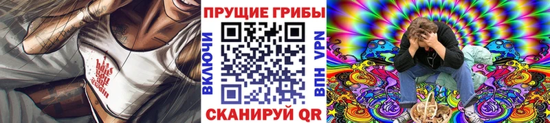 ОМГ ОМГ ONION  Фрязино  Псилоцибиновые грибы ЛСД  что такое  